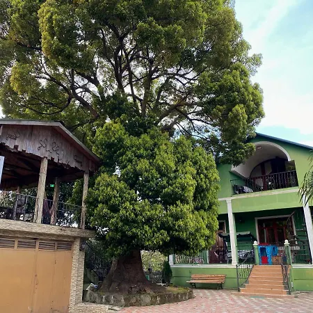 Apartment Green House Makhinjauri Exterior photo